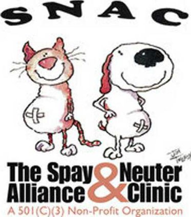 Snac Web