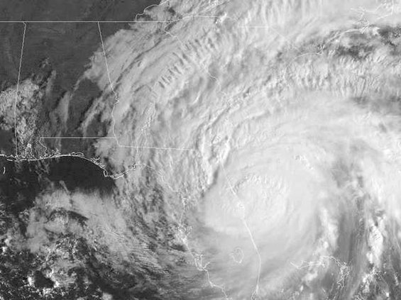 W hurricanes