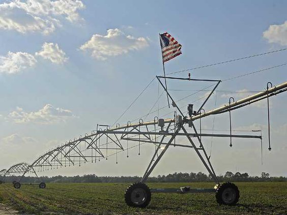 Web BIZ IRRIGATION 01