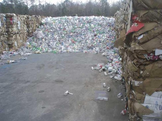 W Recycle photo